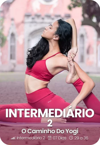O Caminho Do Yogi Intermediários 2